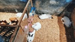 -酷嗒动物文化乐园(cutezoo西溪乐天城店)