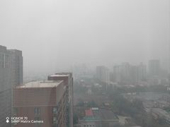 -河北宾馆中茂海悦酒店
