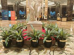 -上海浦东星河湾酒店