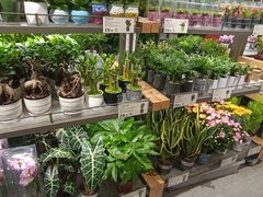 -鹿岛生活(熙地港店)