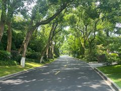 -浙江西子宾馆·瑶园咖啡厅