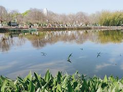 -翠湖公园
