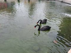 -天津市峰山药王古寺