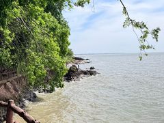 -巢湖姥山岛
