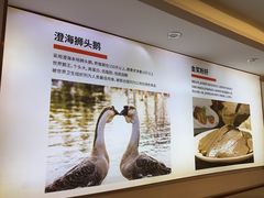 -陆记鹅庄·潮汕菜·狮头鹅(大仟里店)