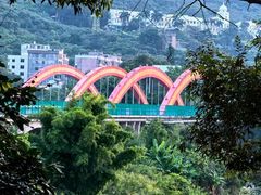 -广州市流溪河国家森林公园