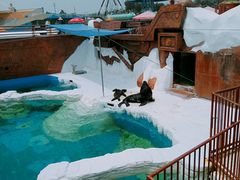 -秦皇岛乐岛海洋王国