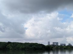 -海珠湖公园