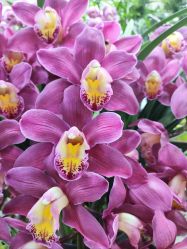 -今日陶艺(富力广场店)