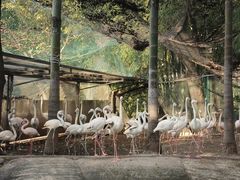 -重庆动物园·东二门售票处