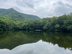 -杭州半山国家森林公园