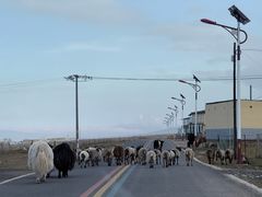 -青海湖国家重点风景名胜区