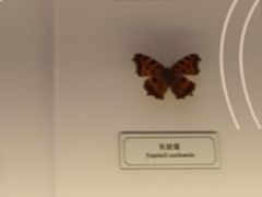 -浦乐汇·汤泉水世界