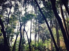 -白云山风景名胜区