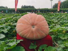 -长春农业博览园