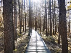 -白草畔自然风景区