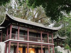 -深圳国际园林花卉博览园