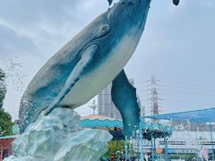 -海合安武汉极地海洋公园