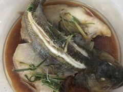 清蒸海鲈鱼-海宁煲农家菜(惠南镇店)