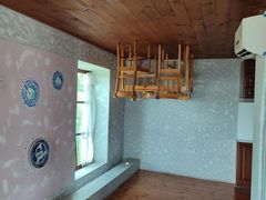 -金山农民画村-枫泾波兰倒置屋