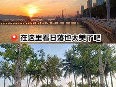 -华侨公园