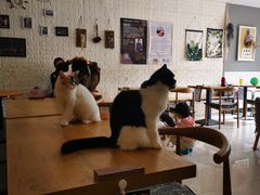 大堂-平行世界·猫咖(首经贸店)