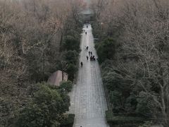-灵谷景区