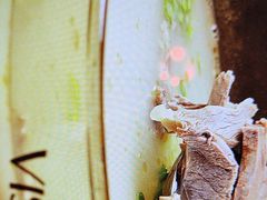 -徽宴楼·玫瑰之约(祥源店)