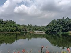 -南国桃园旅游度假区