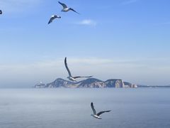 -海驴岛(荣成市)