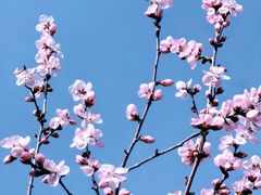 -鹫峰国家森林公园