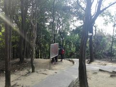 -火炉山森林公园