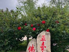 -五台山风景名胜区