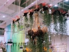 -KKV(深圳宏发大仟里店)