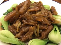 -东海森林温泉度假酒店