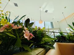 -黄记煌三汁焖锅(华发商都店)