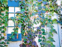 -天津东丽湖风景区