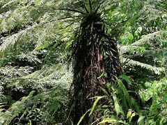 -赤水丹霞旅游区·佛光岩