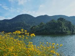 -广州市石门国家森林公园