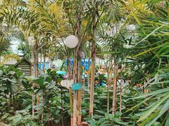 -南宫五洲植物乐园
