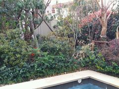 -苏州湾王焰温泉度假酒店