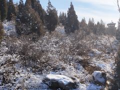 -五悦北平四季涮肉·烧烤(老商埠店)