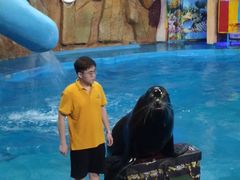 -烟台海昌鲸鲨海洋公园