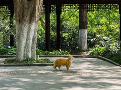 -南山风景名胜区