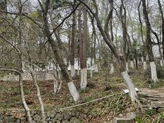 -莫干山风景区