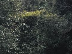 -苏州上方山国家森林公园