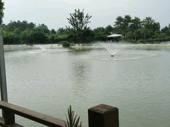 -成都美盈都市现代农业示范园