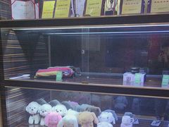 -金色印象·4K影院式足体养生(双龙湖店)