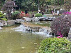 -东莞植物园
