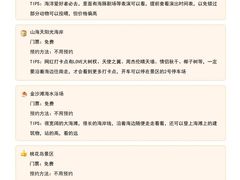 -日照灯塔风景区